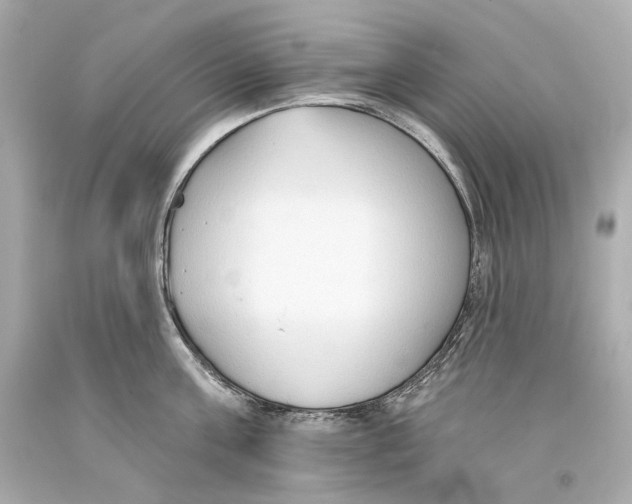 X0000093360811200711011206