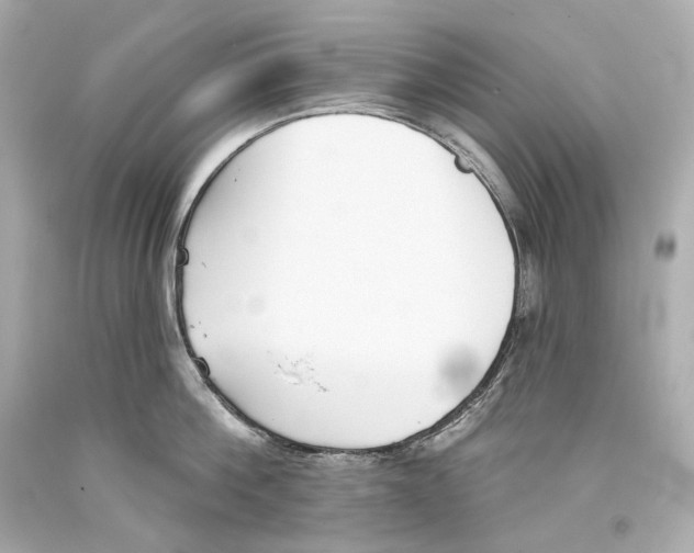 X0000093360812200711011206