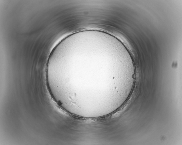 X0000093360814200711011206