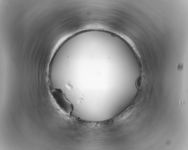 X0000093360815200711011206