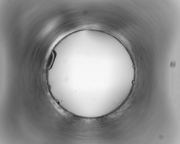 X0000093360816200711011206