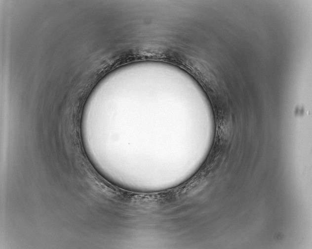 X0000093360817200711011205