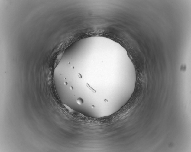 X0000093360818200711011205