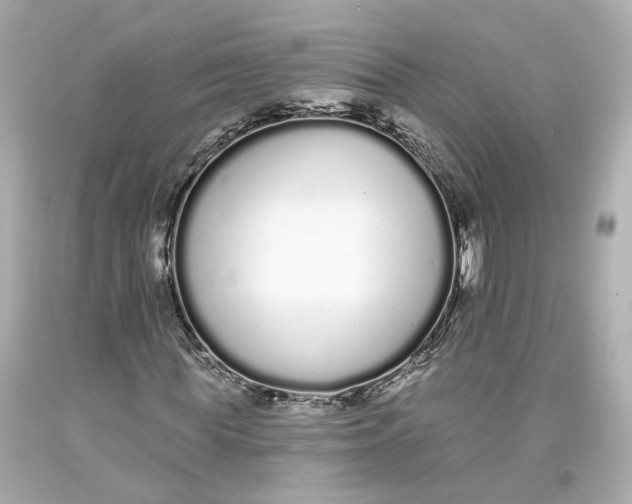 X0000093360819200711011205