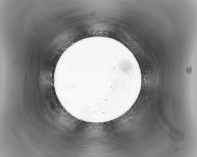 X0000093360820200711011205