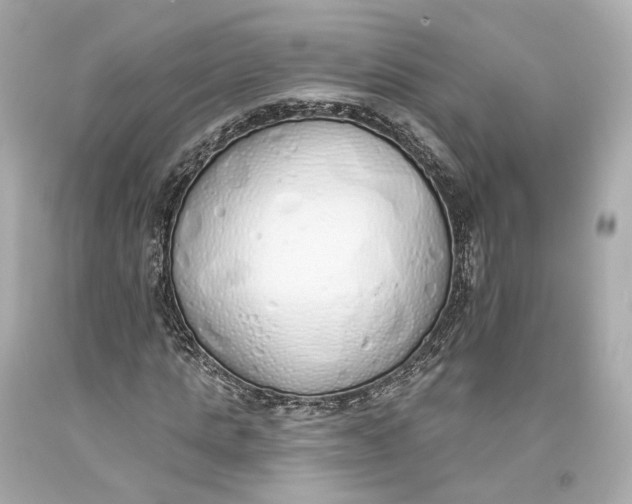 X0000093360821200711011205