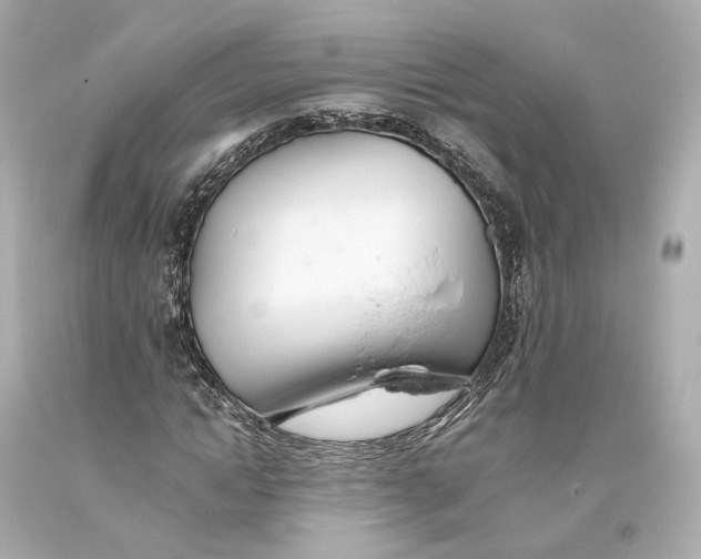 X0000093360822200711011205