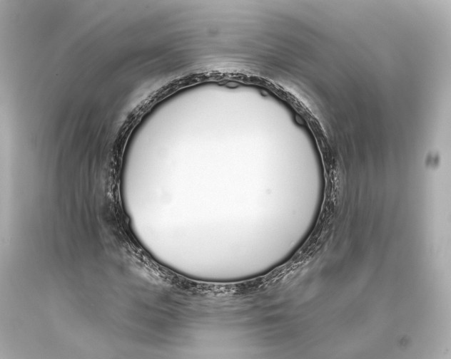 X0000093360823200711011205