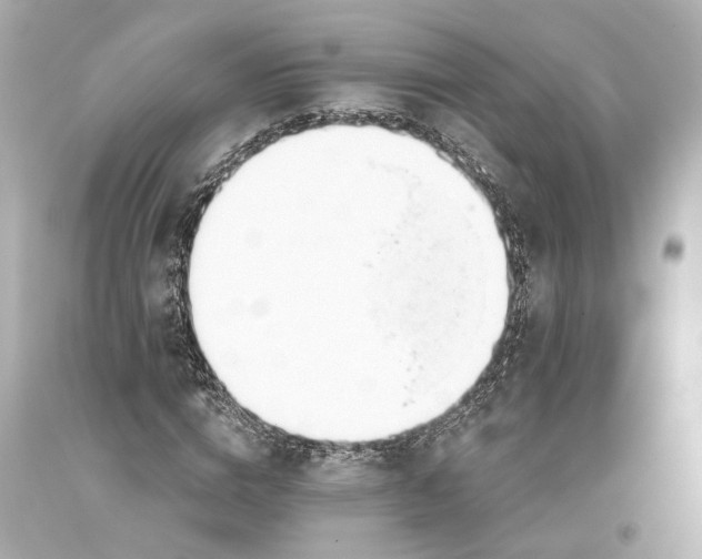 X0000093360824200711011205