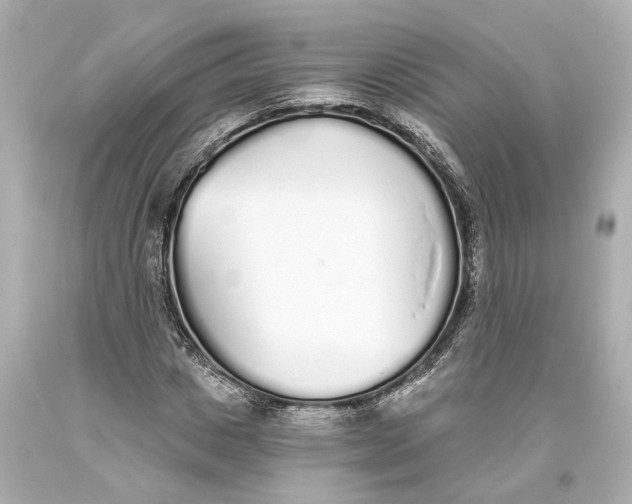 X0000093360825200711011205