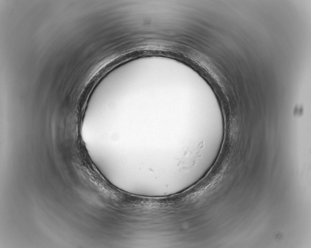 X0000093360829200711011206