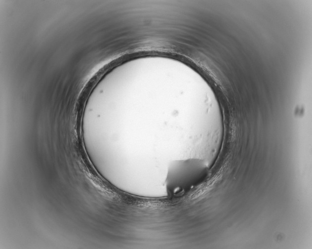 X0000093360830200711011206