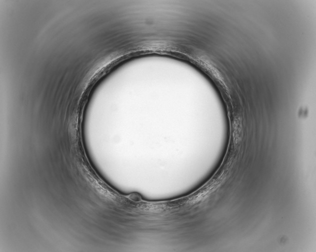 X0000093360831200711011206