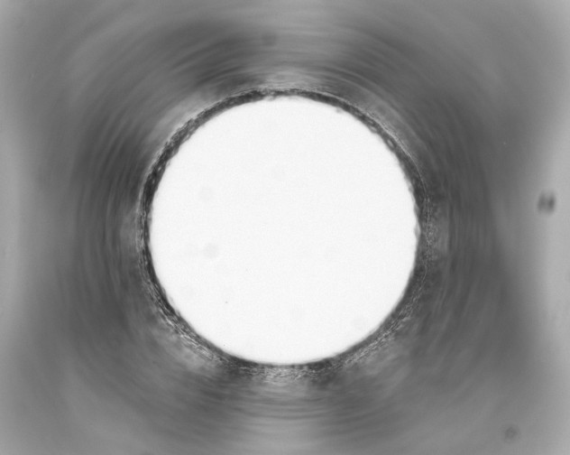 X0000093360832200711011206