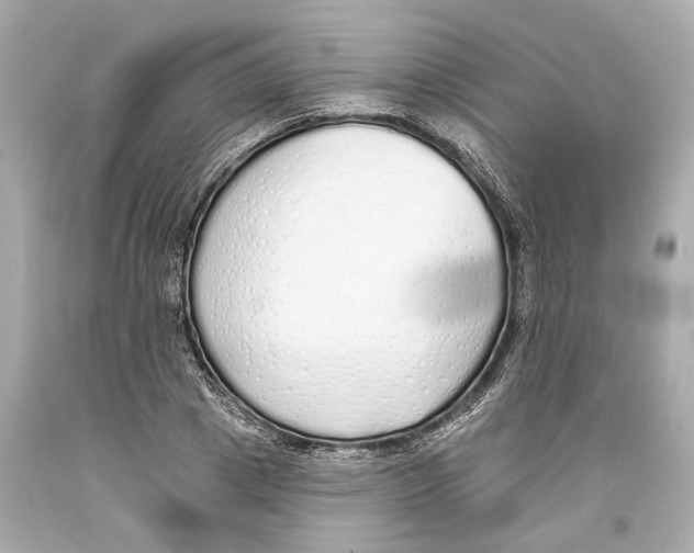 X0000093360833200711011206