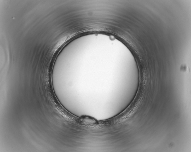 X0000093360834200711011206