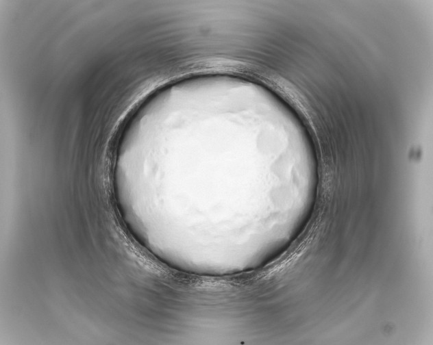 X0000093360835200711011206