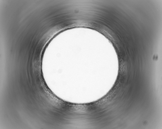 X0000093360836200711011206