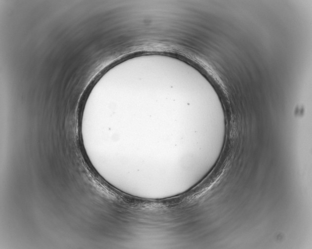 X0000093360837200711011206