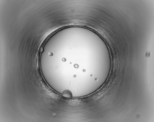 X0000093360838200711011206