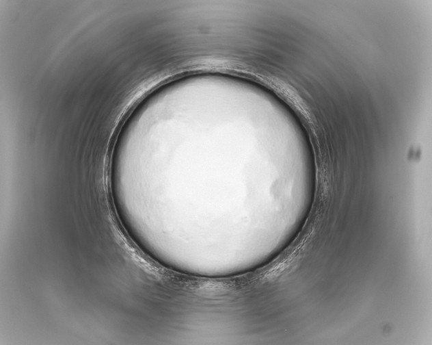 X0000093360839200711011206