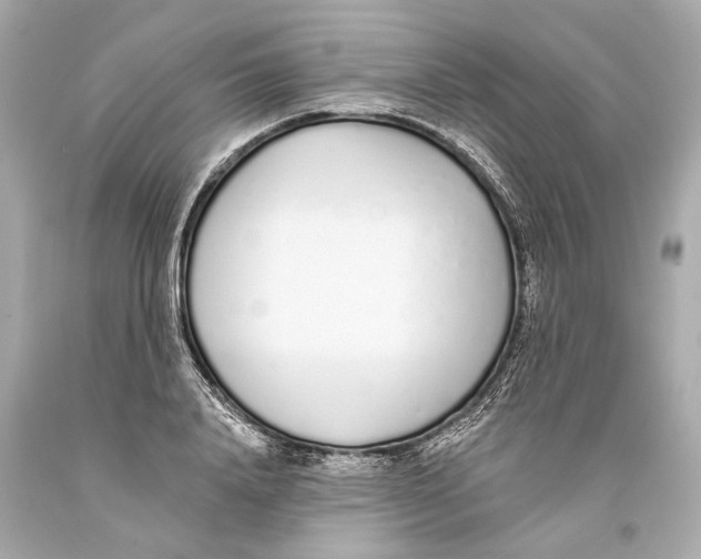 X0000093360840200711011206