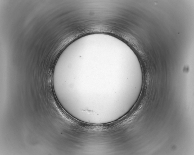 X0000093360841200711011206