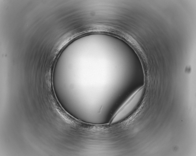 X0000093360842200711011206