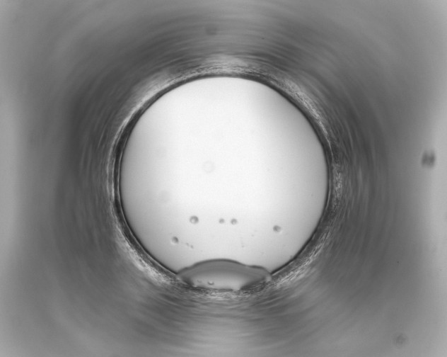 X0000093360843200711011206