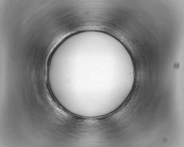 X0000093360844200711011206