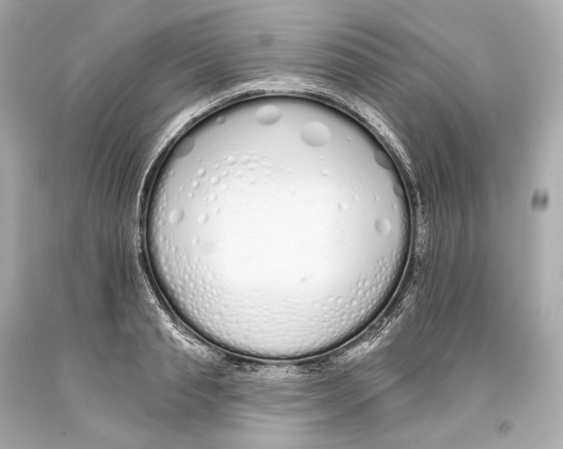 X0000093360845200711011206