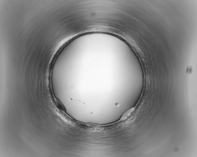 X0000093360846200711011206