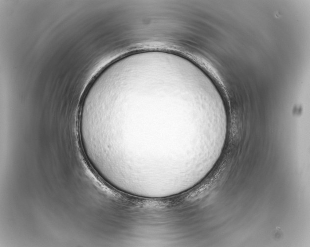 X0000093360847200711011206