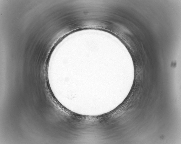 X0000093360848200711011206