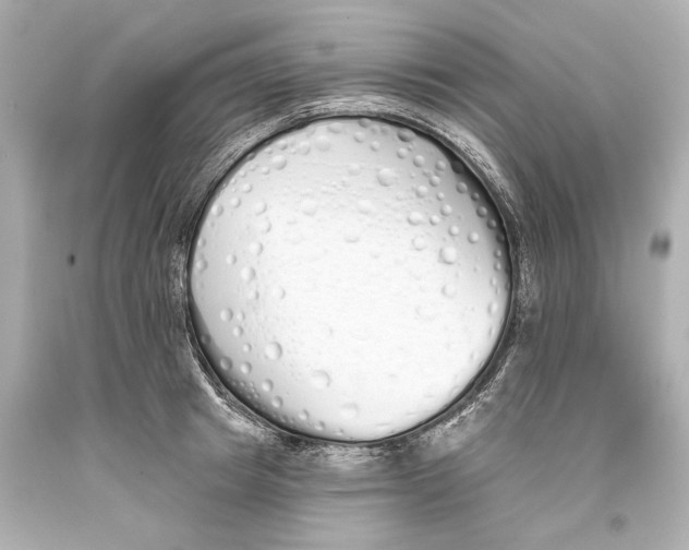 X0000093360849200711011206