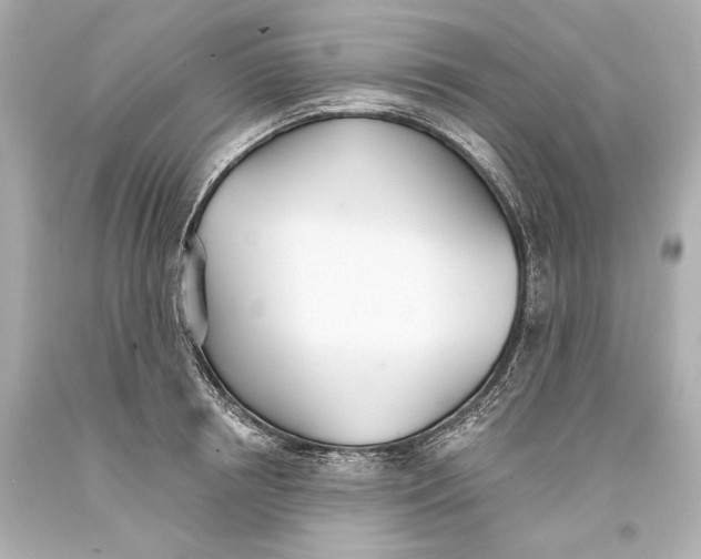 X0000093360850200711011206