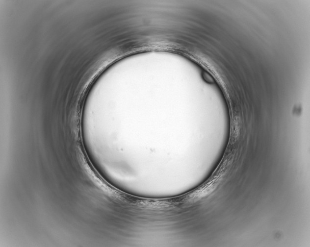 X0000093360851200711011206