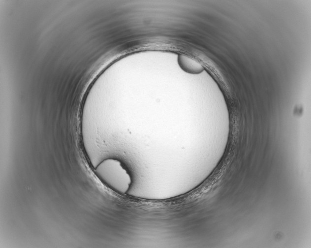 X0000093360852200711011206