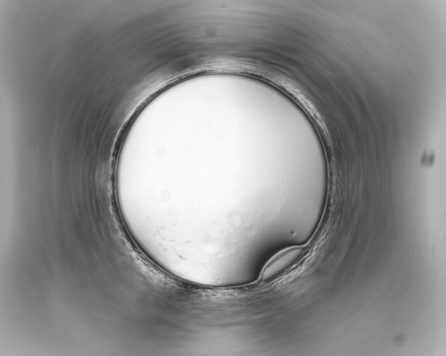 X0000093360853200711011206