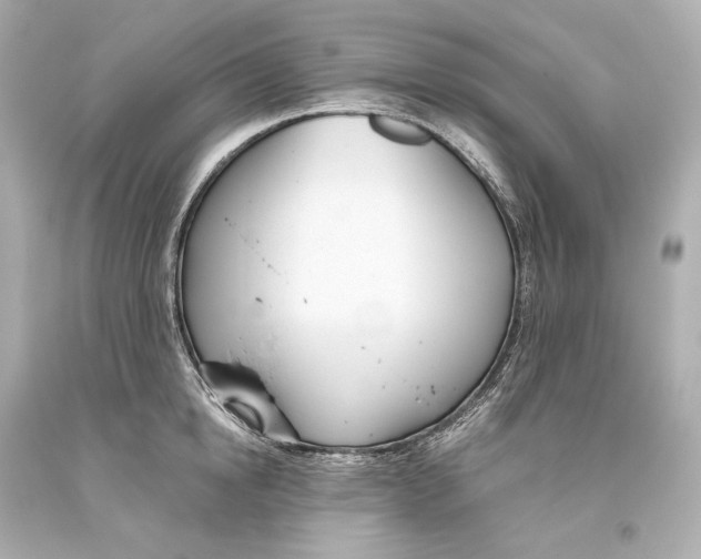 X0000093360854200711011206