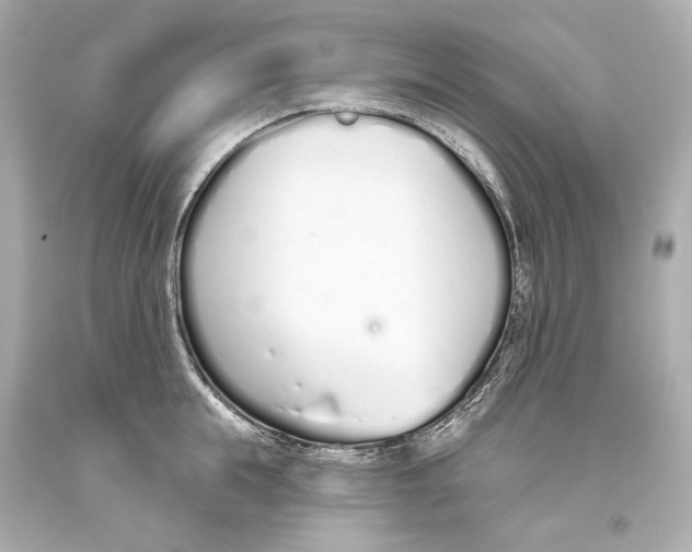 X0000093360855200711011206