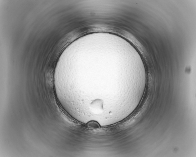 X0000093360857200711011206