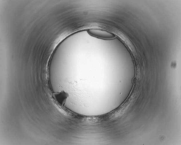 X0000093360858200711011206