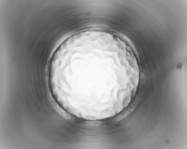 X0000093360859200711011206