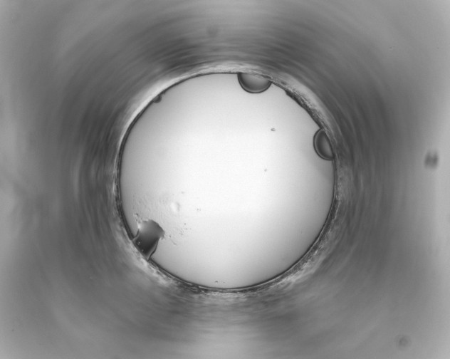 X0000093360860200711011206