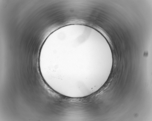 X0000093360861200711011206