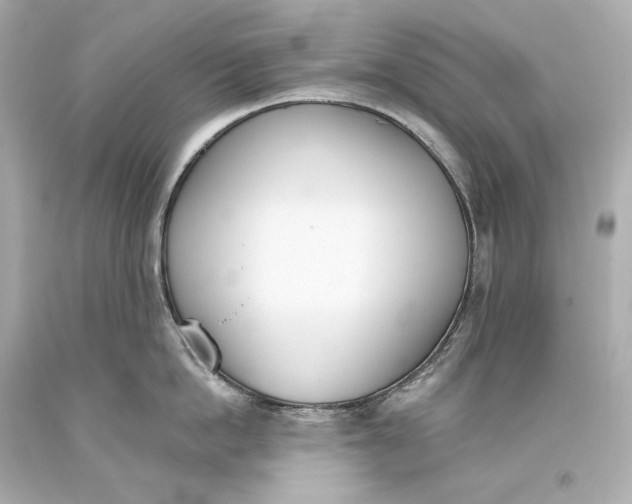 X0000093360862200711011206