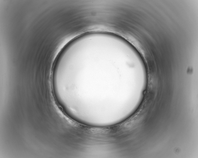 X0000093360863200711011206