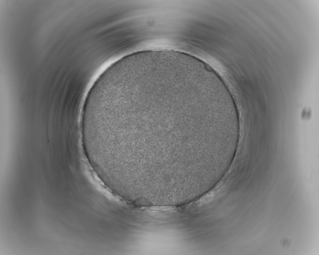 X0000093360864200711011206