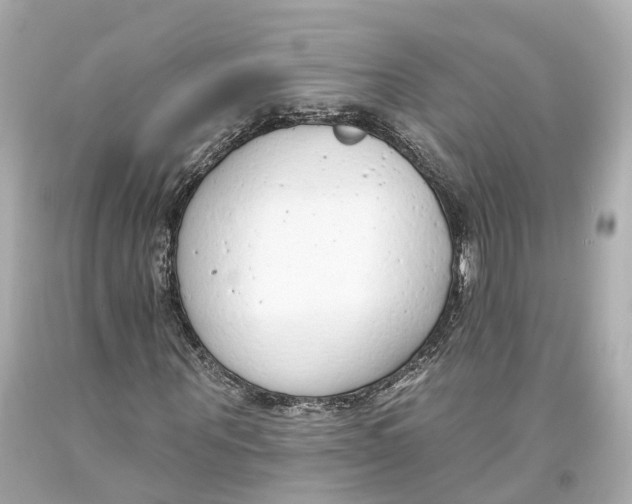 X0000093360867200711011205